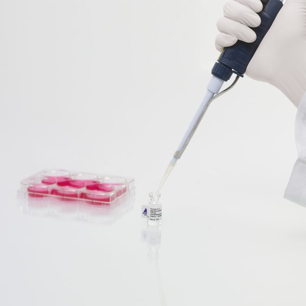 PepTivator HCV1b NS4 – research grade