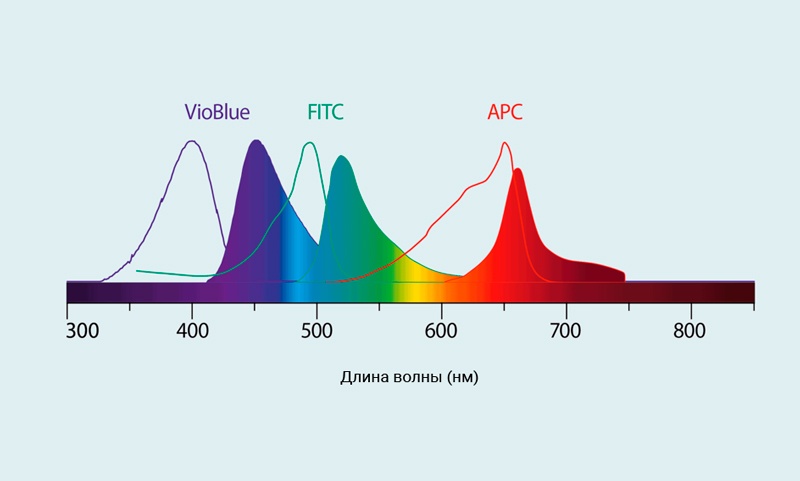 Спектры возбуждения и испускания для флуорохромов 